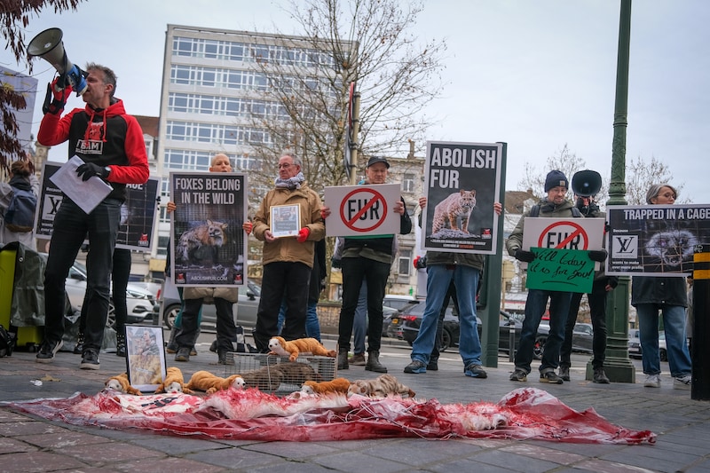 acción contra la piel