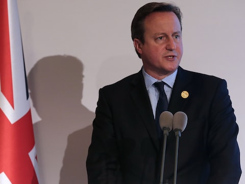 De Britse premier David Cameron.