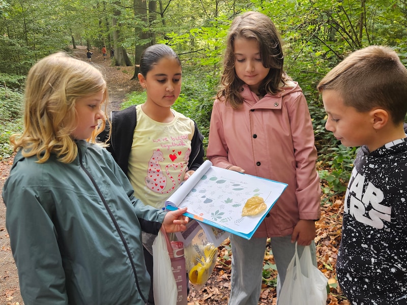 Tijdens de Week van het Bos gaan leerlingen van de jongste kleuters tot het zesde leerjaar op onderzoek.