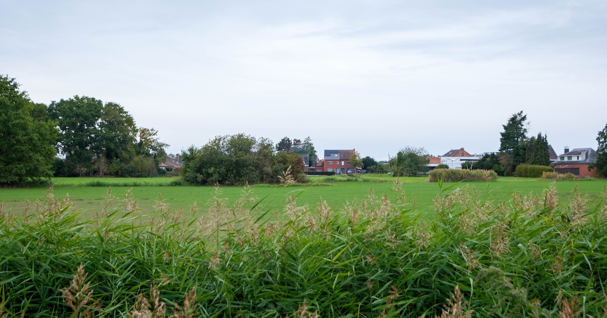 Buurtpetitie ‘RED Maenhoevevelden’ telt op korte tijd 381 handtekeningen: “We willen een overkoepele