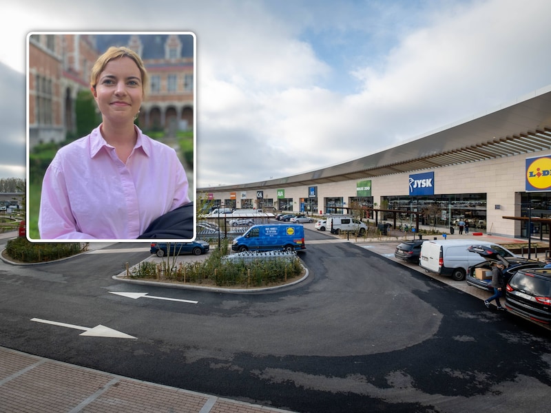 Meester Celestine Goetschalckx (inzet) stond één van de twee beklaagden bij. Haar cliënt stal een grote doos met sigaretten uit een geparkeerde auto op de parking van Malinas. 