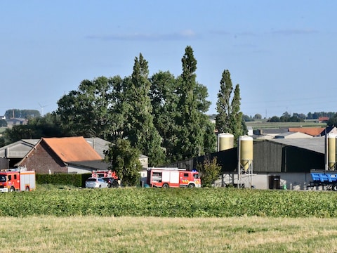 De brandweer repte zich naar een varkenshouderij langs de Markizaatstraat in Beselare.