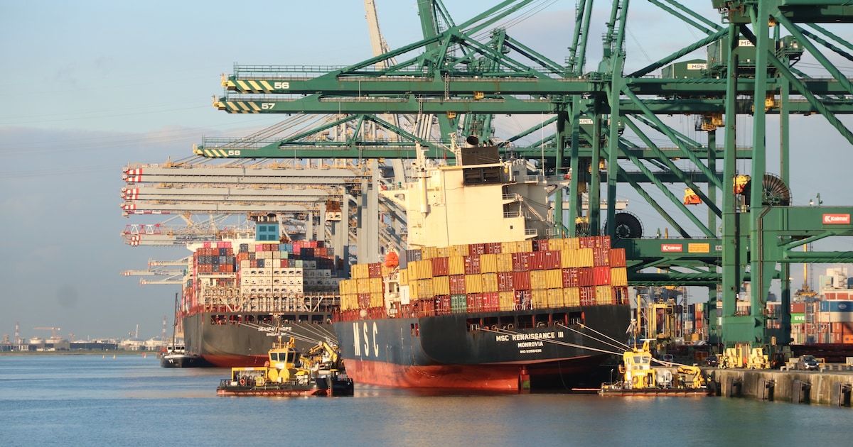 Opnieuw olielek in Deurganckdok in Antwerpse haven nadat schip gat in ...