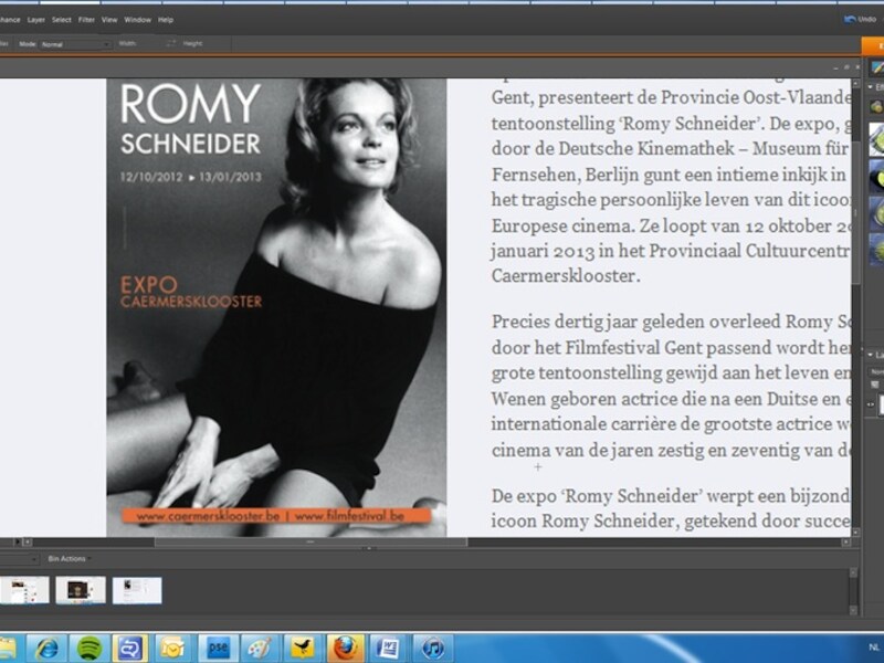 De bewerkte festivalaffiche.