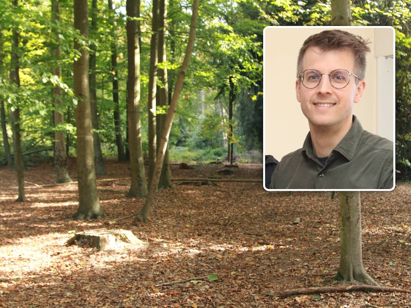 Schepen Kristof Van Gansen (inzet) wil bosgronden waar geen bomen op staan kopen en bebossen. Foto: themabeeld