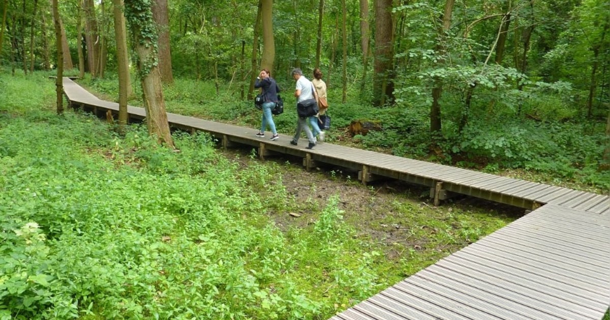 Wandelen zonder schade: gloednieuw pad door Hof Ter Linden opent voor publiek