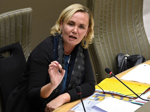 Minister Liesbeth Homans ( NVA )