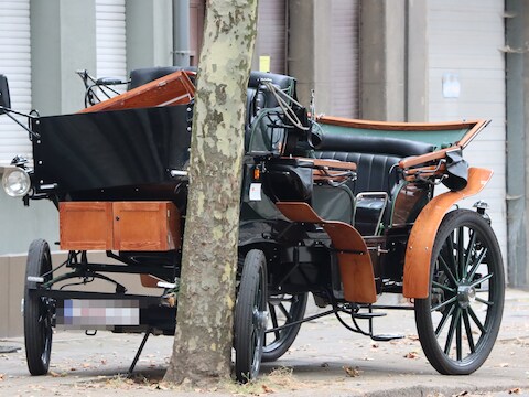 Een elektrische paardenkoets botste woensdagochtend in de Van de Wervestraat in Antwerpen tegen een boom nadat het voertuig volgens de koetsier stuurloos was geworden.