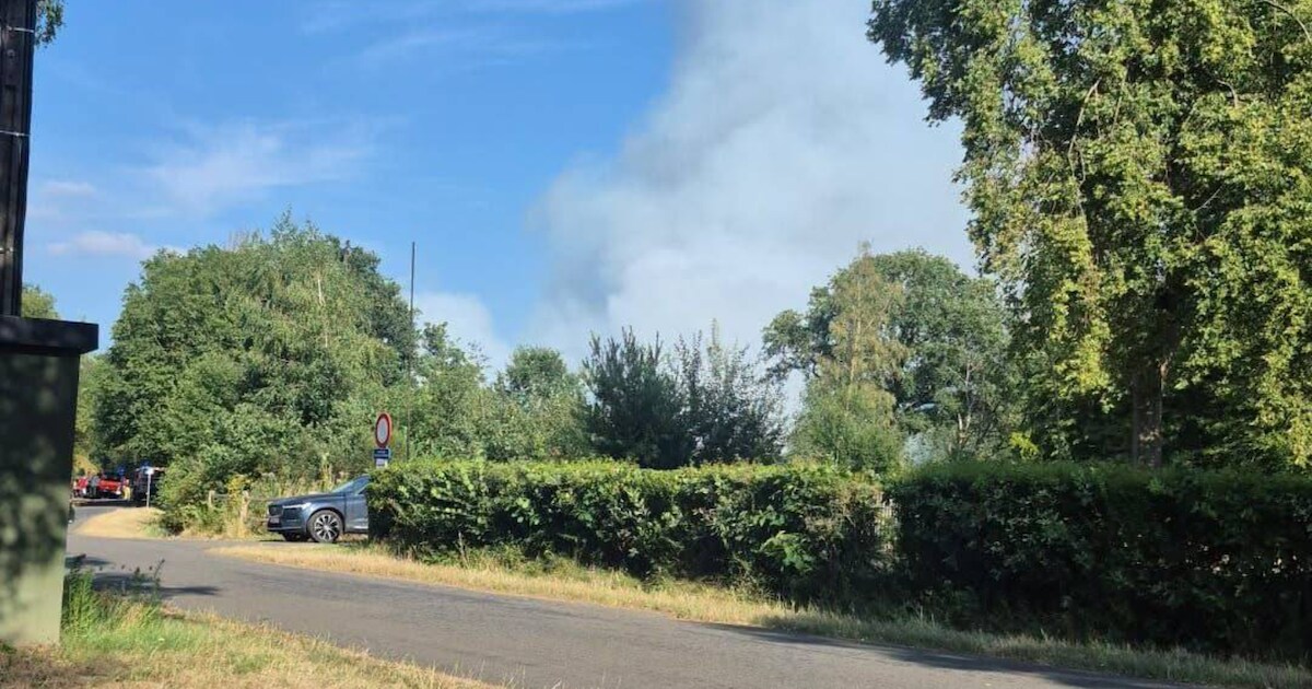 Halve hectare natuurgebied afgebrand in Beringen: brand onder controle, nabluswerken duren nog enkel