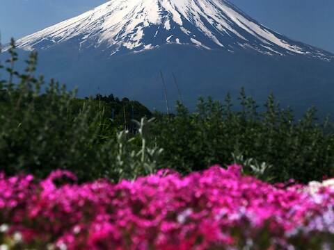 De Fujiberg in Japan.
