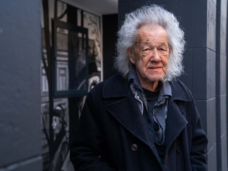 Dick Matena (83), striptekenaar van ‘Tom Poes’ en ‘Pietje Bell’, overleden
