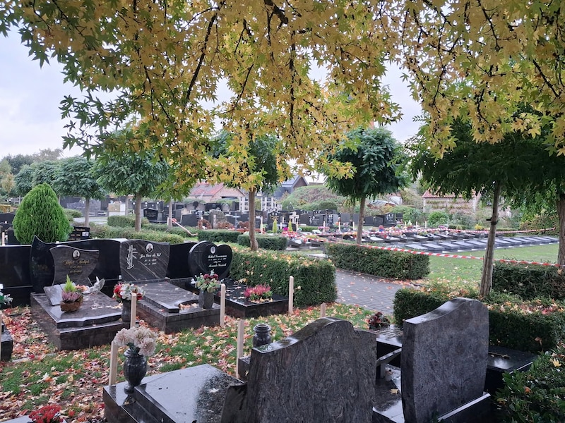 Op de begraafplaats in Oelegem wordt zondag het herdenkingsmoment Reveil georganiseerd.