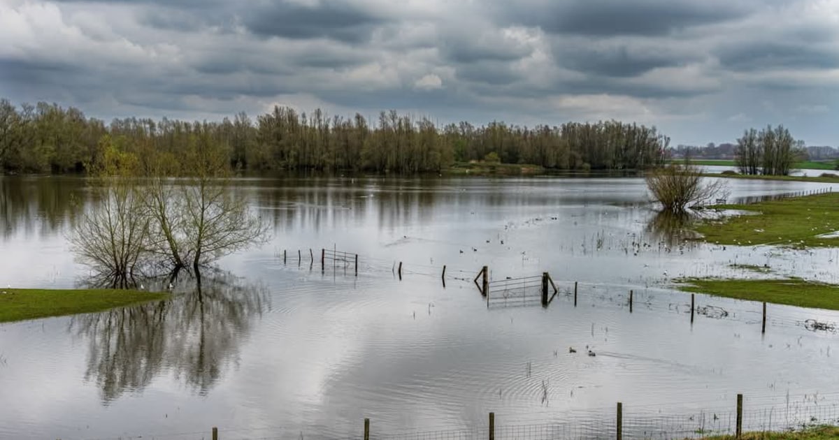 Overstromingen van jaar geleden erkend als ramp | Lierde | HLN.be