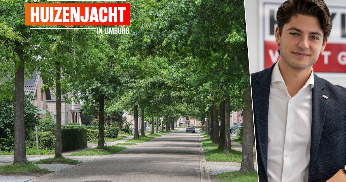 HUIZENJACHT. Diepenbeek, waar studenten thuis zijn: “Wie een woning ...