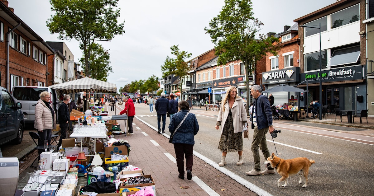 Van koopjes tot Braziliaanse dansers: Heusden-Zolder sluit braderie Cité feestelijk af