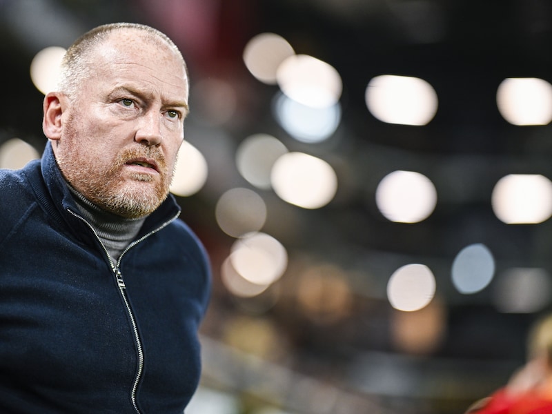 “De hele club zit op dezelfde lijn, wat vroeger al eens anders was”: Fred Vanderbiest blikt terug op sterke heenronde KV Mechelen