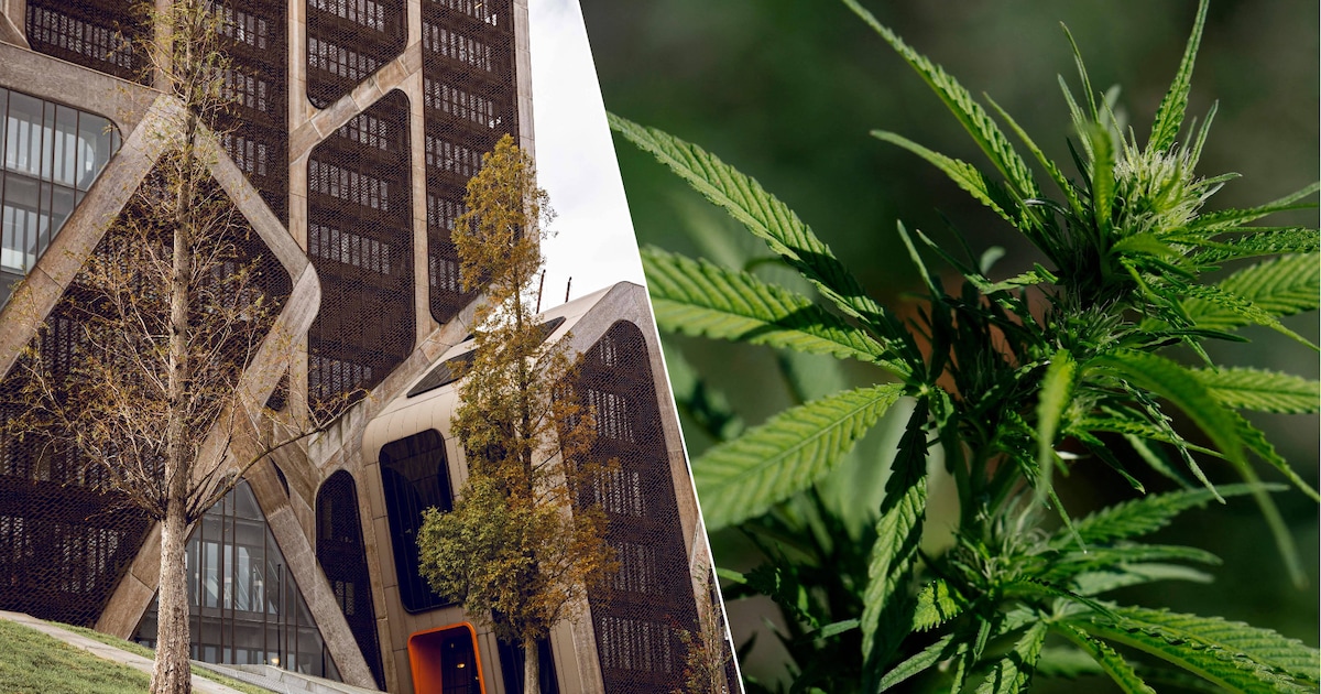 Duo staat terecht voor verkoop van cannabis aan minderjarigen