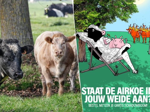 Photo by Jan De Meuleneir/Photonews***, Airkoe campagne