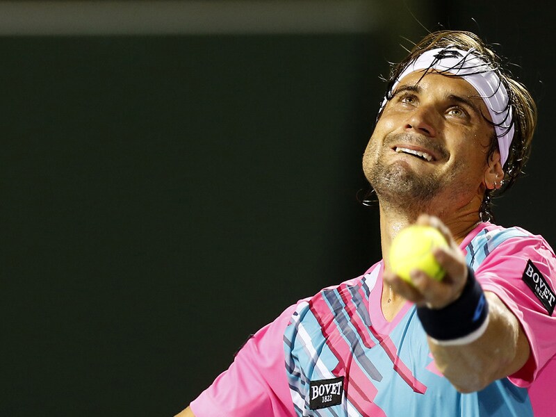 David Ferrer.