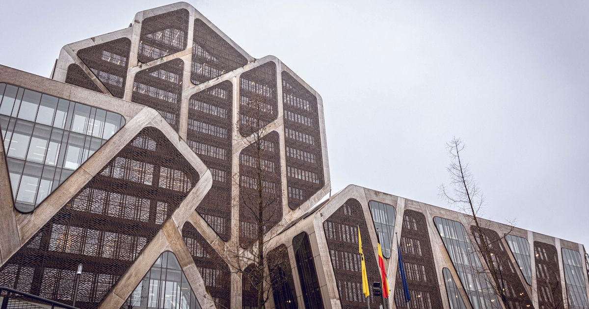 Vrouw vindt cocaïne tussen kerstspullen: man veroordeeld wegens dealen