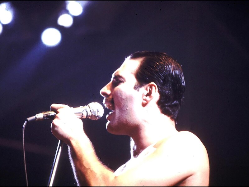 Freddie Mercury
