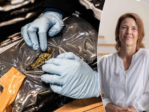 Waarom cannabisvangsten stijgen terwijl cocaïne daalt: “De cocaïne komt gewoon op andere manieren binnen”