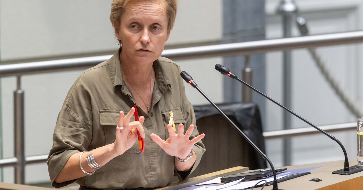 Minister De Ridder over Antwerp Airport: “Nergens in regeerakkoord ...