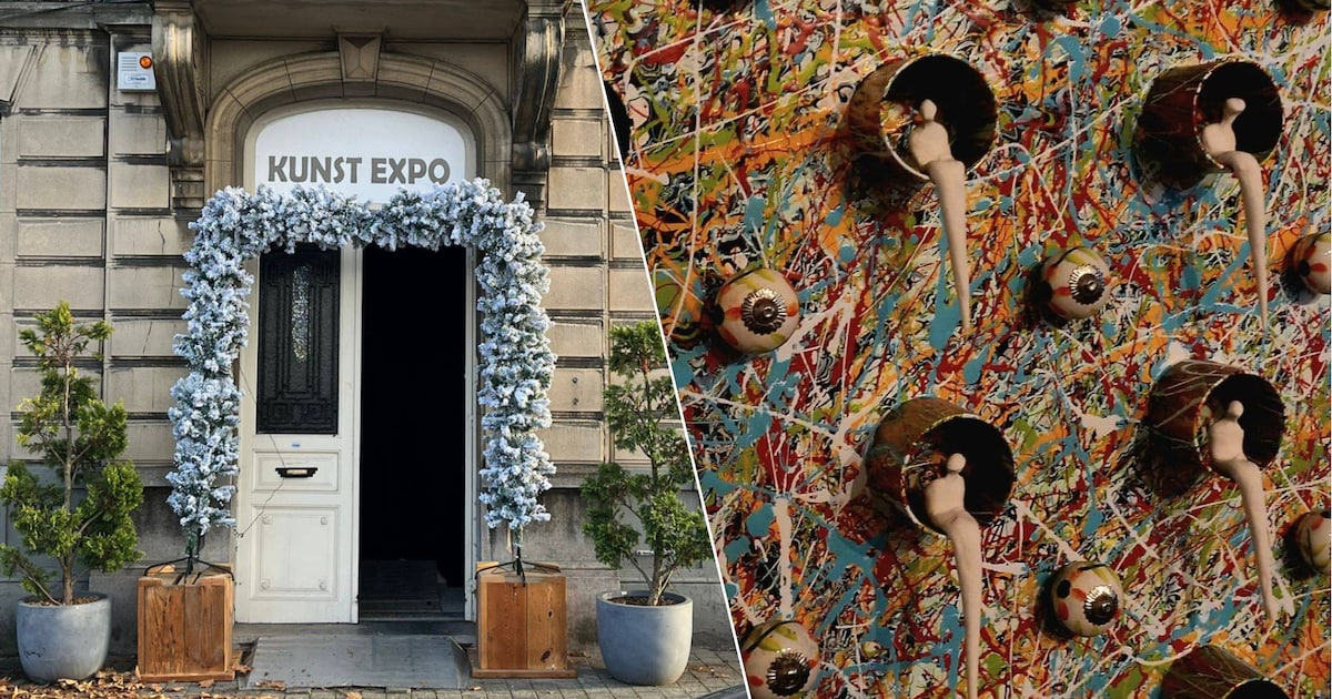 Pop-up kunstexpo in hartje Hasselt brengt Panamarenko en Raveel samen: “Hier vind je stukken tussen 