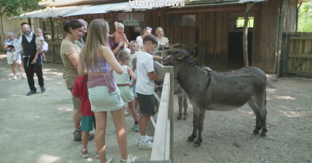 Na tien jaar opnieuw dieren aaien in ZOO Planckendael, maar met één duidelijke regel: “Als ze weglop