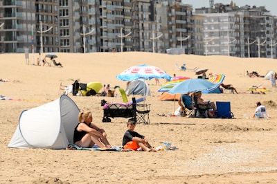 Kust blikt terug op goede zomer, met meer buitenlandse bezoekers: “En ook het najaar oogt veelbelovend”