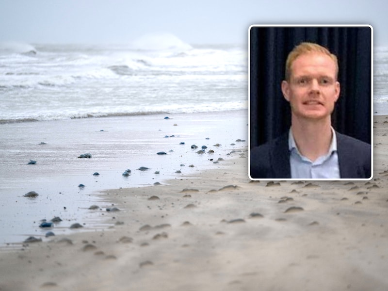 Jongetje (8) staat ’s avonds laat plots alleen in zee in Bredene: “Gelukkig hebben enkele agenten dat opgemerkt”