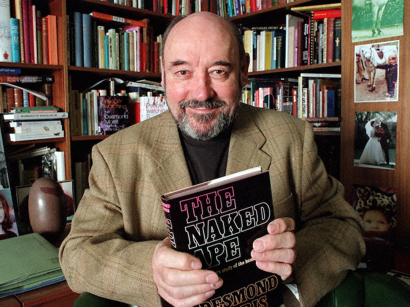 Desmond Morris, auteur van ‘The Naked Ape’, overleden op 98-jarige leeftijd