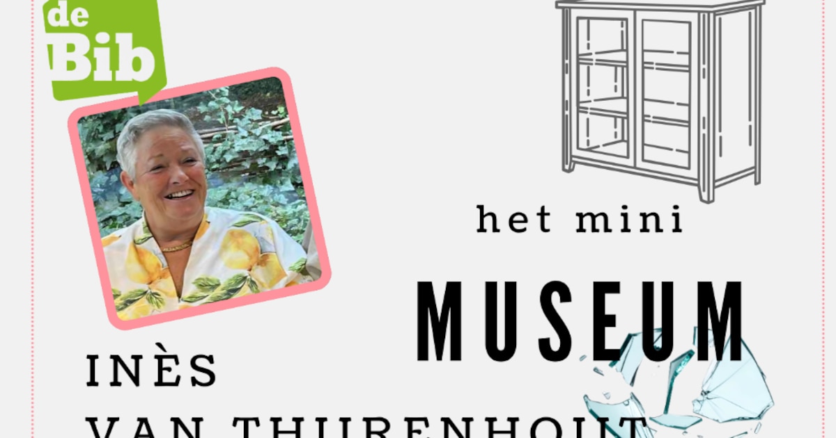 Inès exposeert in miniMuseum van de bib | Regio | HLN.be