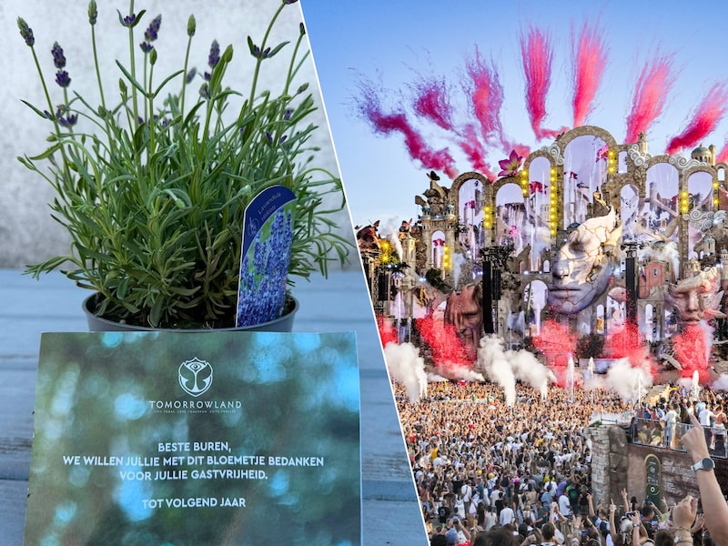 Tomorrowland verrast buren met lavendelplantje: “Bedankt voor de gastvrijheid” 