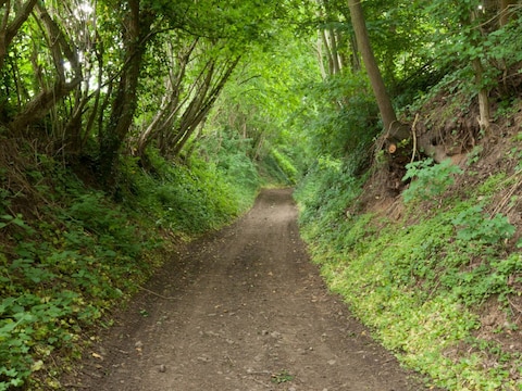 Een holle weg in natuurgebied Hazenberg in Opvelp