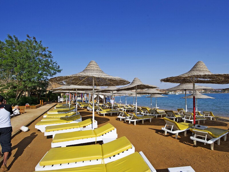 Egypte is de populairste zonnige bestemming.