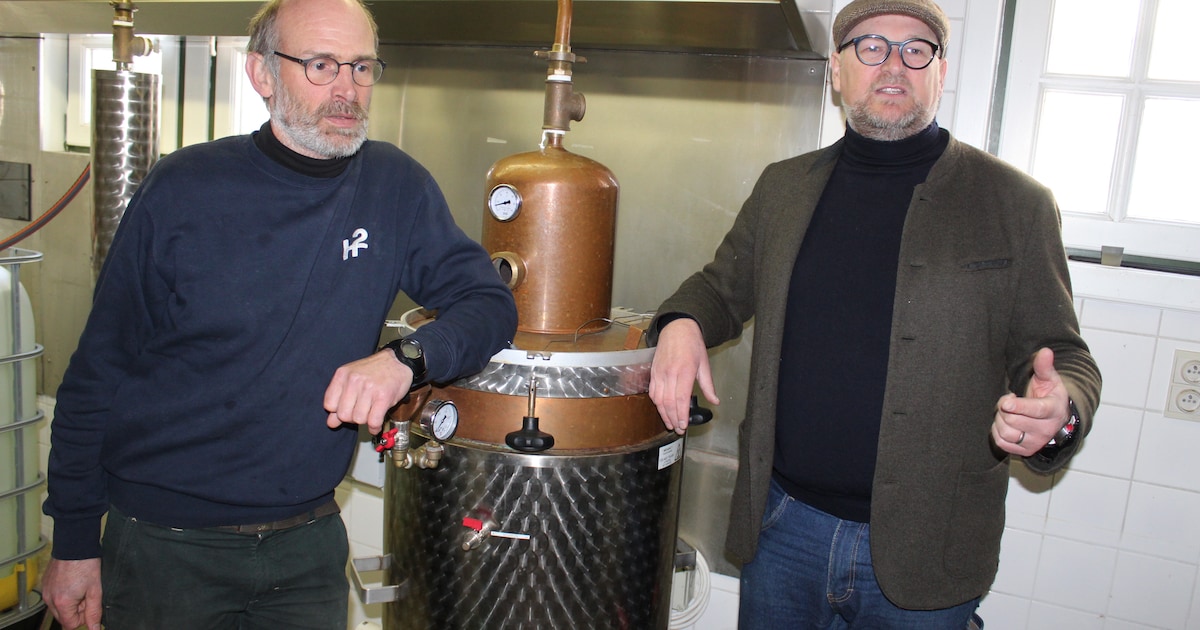 Broers maken Eeklose gin in Jeneverhuis (en binnenkort ook weer jenever ...