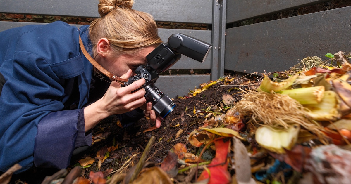 Stephanie presenteert deze week “rotte” kunst: “Ik heb honderden uren met mijn handen in halfvergane