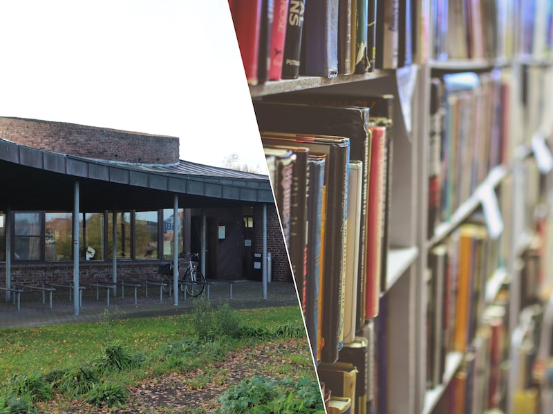 Bibliotheek van Damme zoekt kinderen voor De Leesjury: “Ze leren hun eigen mening te verwoorden”