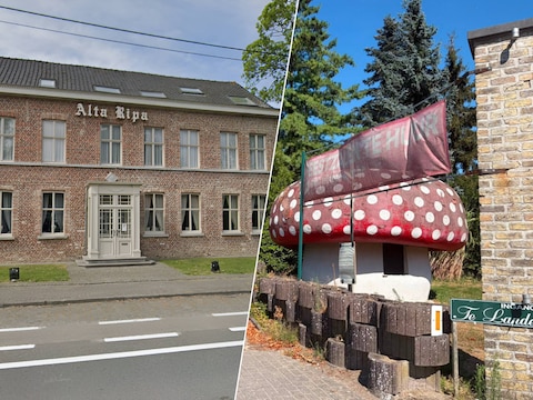 Feestzaal Alta Ripa in Avelgem. / Feestzaal Te Lande in Anzegem.