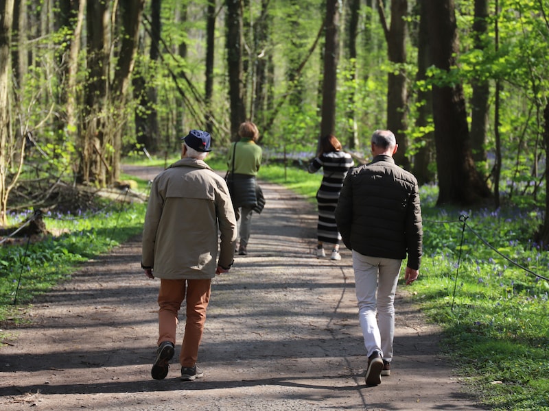 Ga samen op wandel met ‘Rap op Stap’ in Kalmthout