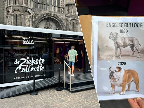 Actie Gaia 'De Ziekste Collectie'