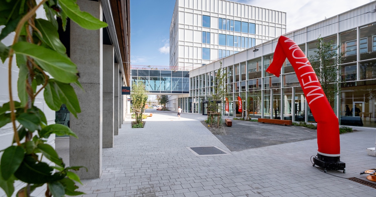 Thomas More schrapt komende vijf jaar jaarlijks 30 jobs: “We moeten op tijd bijsturen om gezond te b