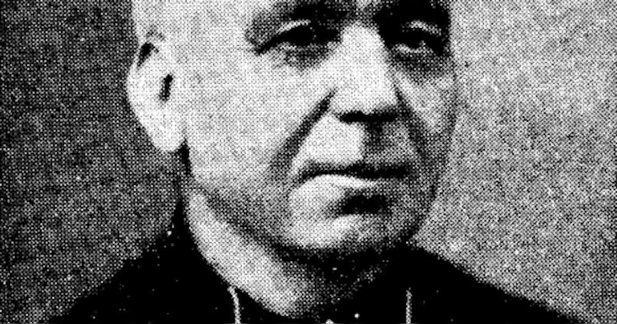 Tiende Priester Daens Vredesloop op 13 november | Regio | HLN.be