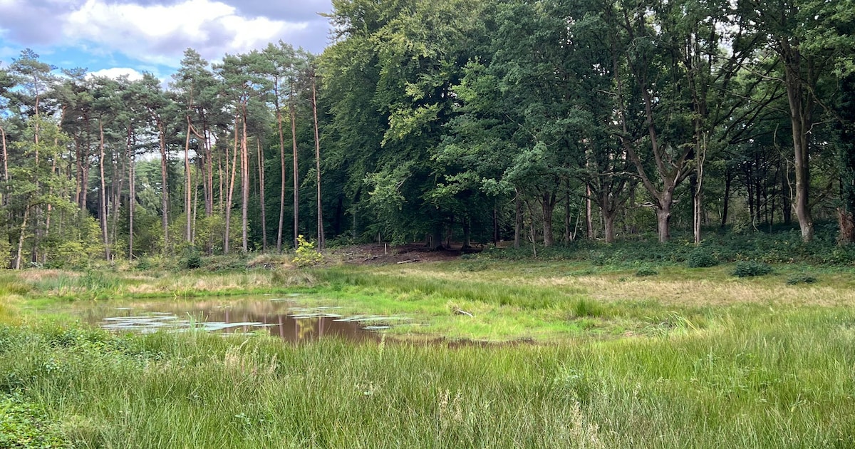 Militaire oefening in omgeving Dassenaarde en Fort Leopold