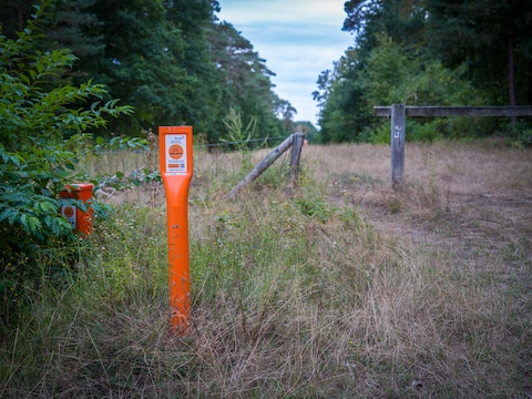 Fluxys maakt veiligheidsstrook rond ondergrondse gasleidingen vrij