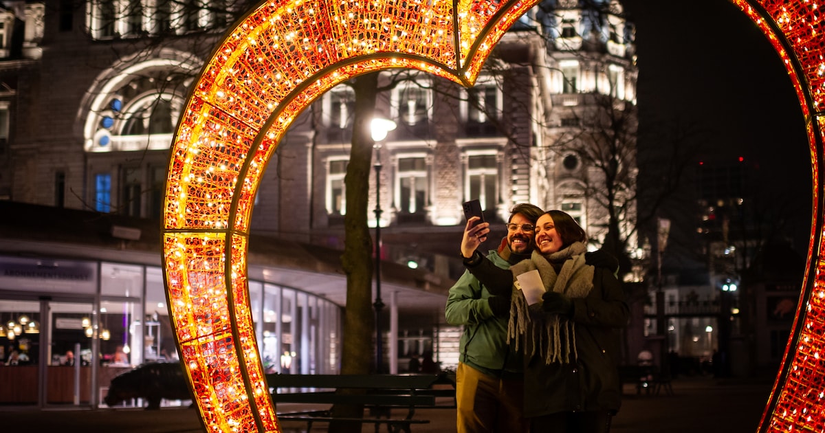 Valentijn tussen de dieren: ZOO Antwerpen organiseert date-avonden