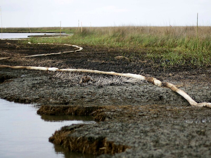 Onder meer de olieramp met het boorplatform Deepwater Horizon heeft grote gebieden moerasland vernield.