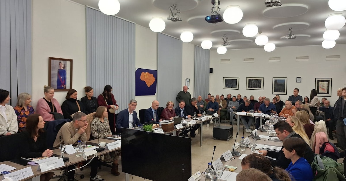 Gemeenteraad bespreekt BOA-samenwerking met Boom en aanpak Aziatische hoornaar