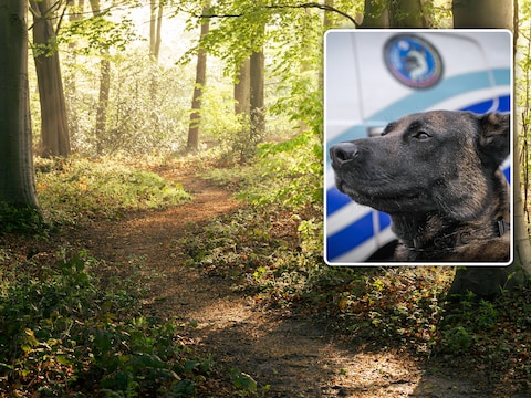Een Maasmechelse vrouw was onwetend op wandel toen de speurhond (beeld ter illustratie, het gaat niet om de hond die beet) haar tegemoet liep, en haar meerdere keren beet.